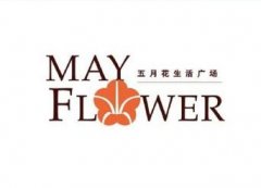 【上海五月花生活广场项目】弹簧减震器